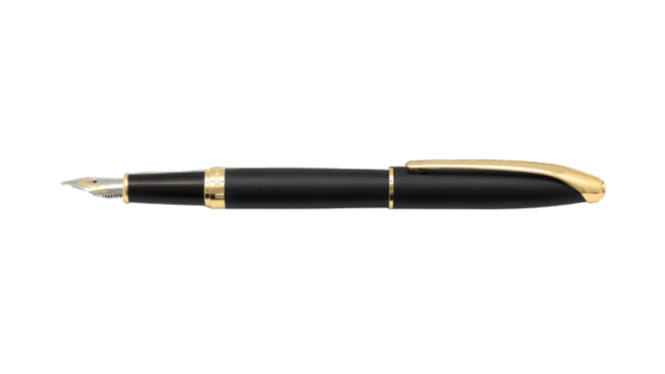 قلم خودنویس یوروپن (RING)